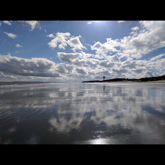 Meet your Posher, Wendy - Picture 3 of 4